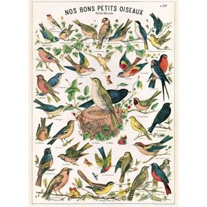 Cavallini & Co. Vintage Ornithology Small Birds Chart, 20” x 28” Inches - NWT